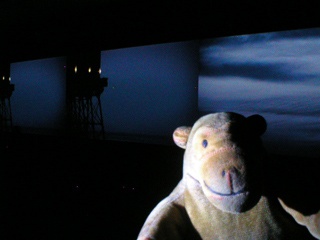 Mr Monkey watching the pier section of the Interval II video