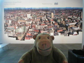 Mr Monkey looking at the giant composite photo of Manchester
