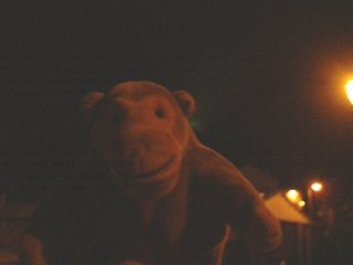 Mr Monkey in the dark