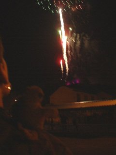Mr Monkey watching fireworks