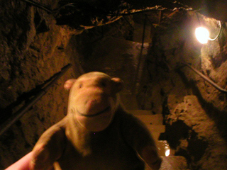 Mr Monkey at the top of the steps between mining levels