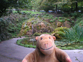 Mr Monkey looking at a rockery and a pool