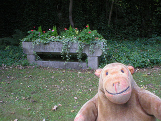 Mr Monkey looking at a horse trough filled with flowers