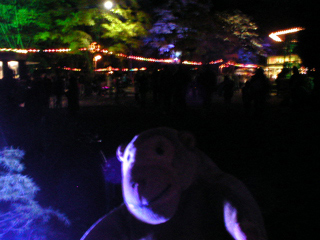 Mr Monkey wandering around the Derwent Gardens during illuminations