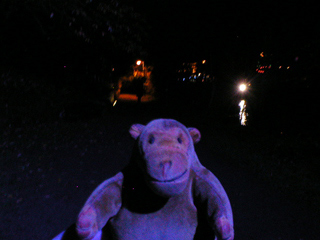 Mr Monkey illuminated by blue floodlighting