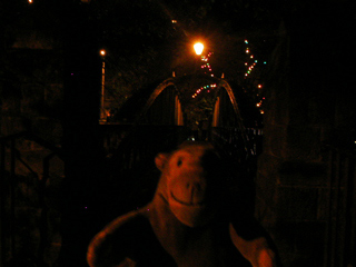 Mr Monkey looking at the Jubilee Bridge by night