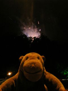 Mr Monkey watching fireworks at Matlock Bath