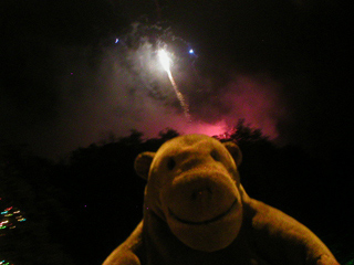 Mr Monkey watching fireworks at Matlock Bath