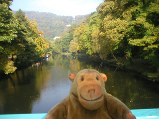 Mr Monkey looking up towards the  Heights of Abraham
