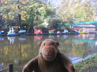 Mr Monkey looking at the unilluminated boats from across the river