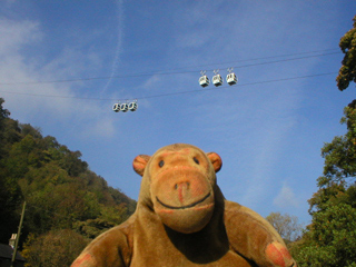 Mr Monkey looking up at the cable cars