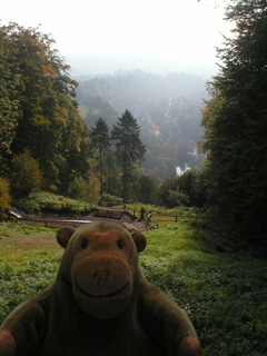 Mr Monkey looking the slope from the cafe