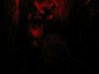 Mr Monkey in a large cavern in the Great Masson