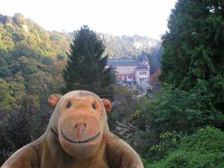 Mr Monkey looking down on the mining museum