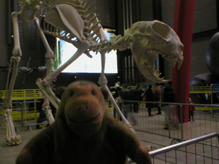Mr Monkey looking at a replica of Felix by Maurizio Cattelan