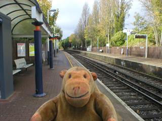 Mr Monkey on the platform at Kew Bridge station