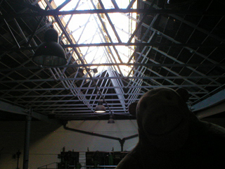 Mr Monkey looking up at the roof of the Steam Hall