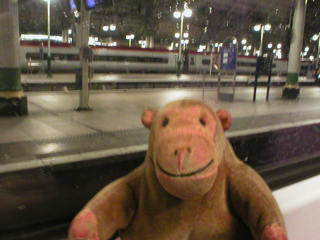 Mr Monkey waiting for his train at Manchester
