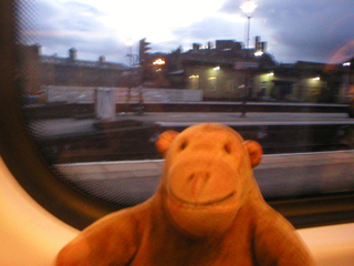 Mr Monkey watching the sky from his train