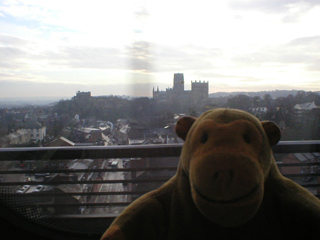 Mr Monkey looking at Durham Cathedral from the train