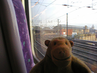 Mr Monkey looking out of the train on the way into Newcastle station