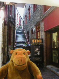 Mr Monkey outside the Side Gallery