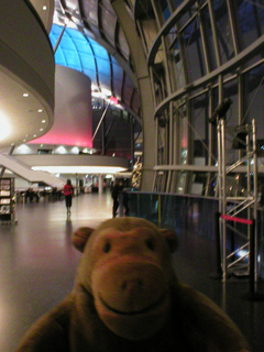 Mr Monkey wandering about inside the Sage