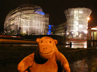 Mr Monkey looking at Northumbria University