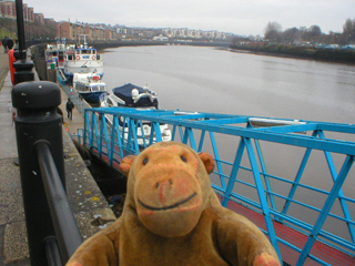 Mr Monkey looking down at the waiting boat