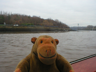 Mr Monkey looking at the Byker riverbank
