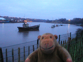 Mr Monkey looking at boats moored in the Tyne