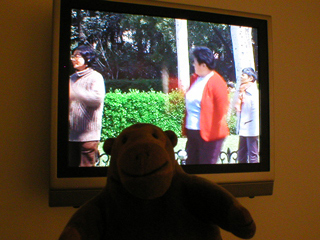 Mr Monkey watching a video showing people exercising in a Shanghai park