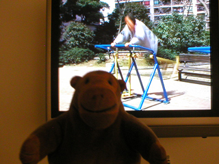 Mr Monkey watching a video showing a person on a exercise machine in a Shanghai park