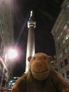 Mr Monkey looking at The Monument at night