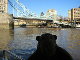 Mr Monkey looking back at Tower Bridge from the catamaran