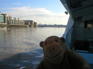 Mr Monkey looking along the side of the boat