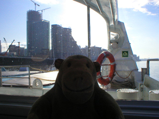 Mr Monkey looking at Canary Wharf from the catamaran