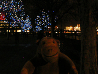 Mr Monkey looking at illuminated trees at night