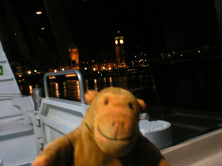 Mr Monkey looking at Parliament from the boat at night