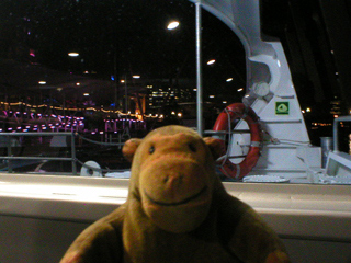 Mr Monkey looking the Millennium pier from the boat
