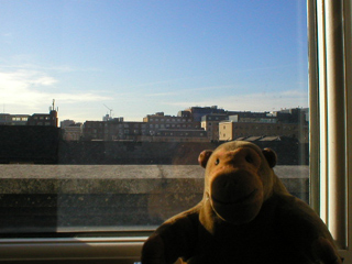 Mr Monkey looking out of his hotel room window