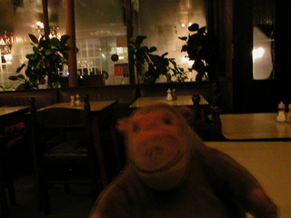 Mr Monkey inside the Lorelei