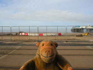 Mr Monkey looking at the sea through work site fencing