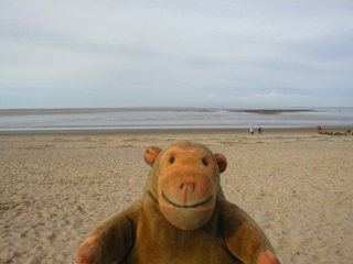 Mr Monkey looking out to sea