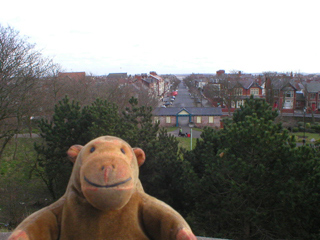 Mr Monkey looking down London Street from the Mount