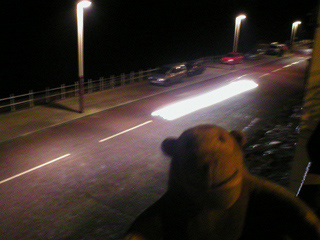 Mr Monkey watching a car drive very fast along the seafront
