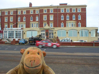 Mr Monkey watching a rally car drive past his hotel