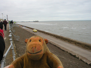 Mr Monkey watching a rally car speeding along beside the sea