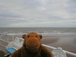 Mr Monkey looking at the sea from the end of Central Pier 