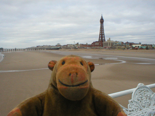 Mr Monkey looking at Blackpool Tower from the end of Central Pier 
